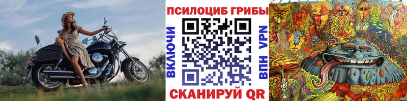 Галлюциногенные грибы MAGIC MUSHROOMS  наркотики  Тосно 
